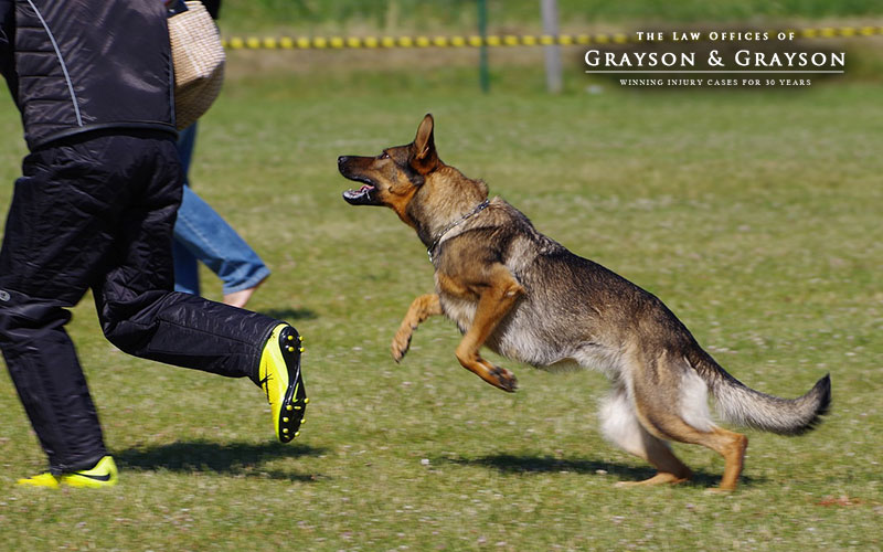 Best-dog-bite-attorney