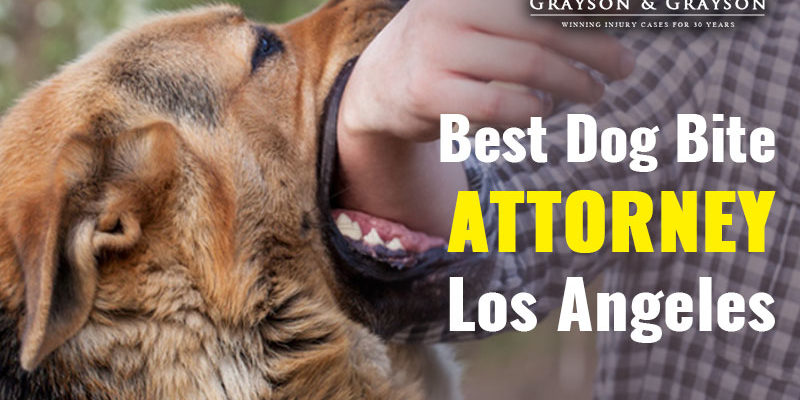Best-dog-bite