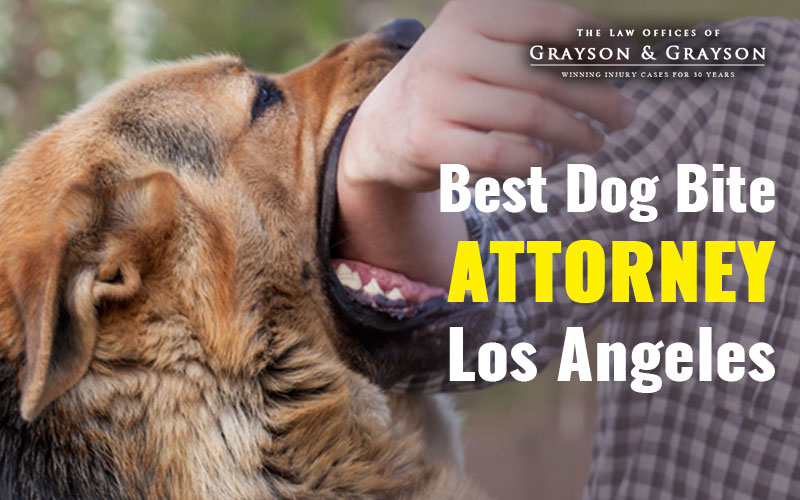Best-dog-bite