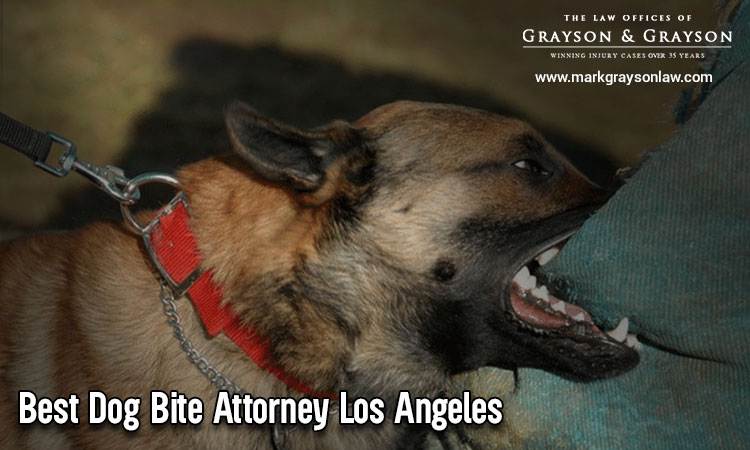 Dog bite